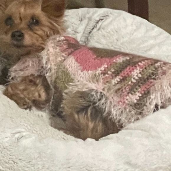 HAND CRAFTED Dog Sweater Coat Colorful Pink Chenille Cozy Crocheted XSmall - Picture 9 of 11